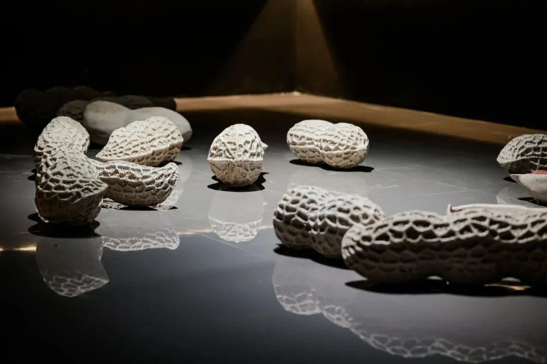 New3 image (6)